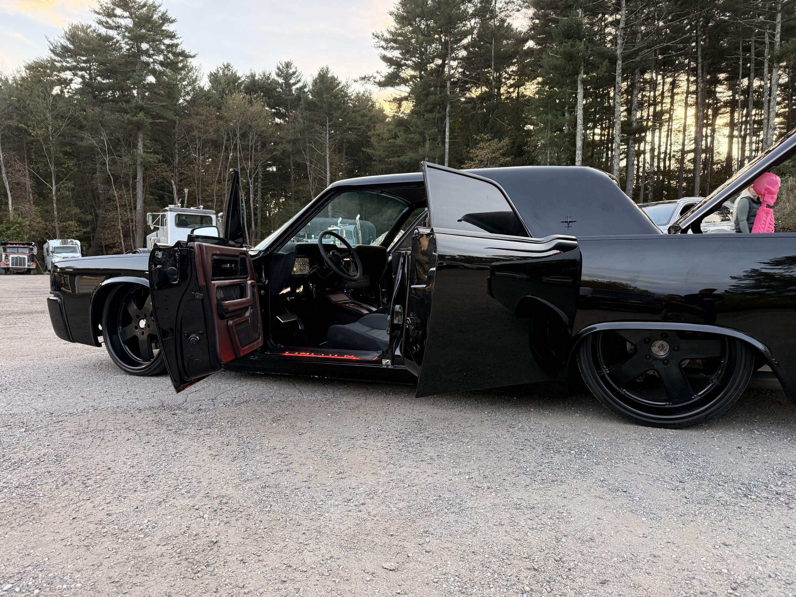 Body and interior restoration